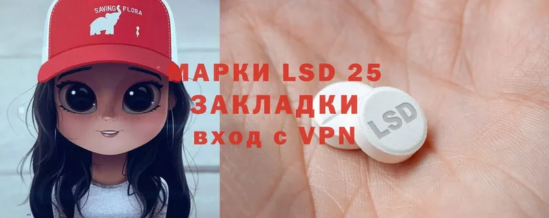 LSD-25 экстази кислота  маркетплейс телеграм  Каргат 