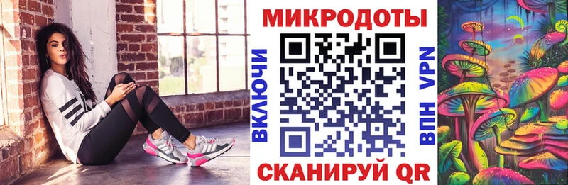 Псилоцибиновые грибы прущие грибы  гидра маркетплейс  Каргат 